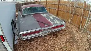 My Project car (1966 Ford Thunderbird)