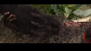 Black Panther Death Scene / Avengers infinity War in Hindi