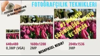 Görüntü Boyutu ve Çözünürlük | Piksel nedir? | Sensör ve Çeşitleri | Fotoğrafçılık Teknikleri #2