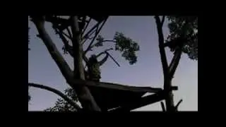 Social Studies Horror Film