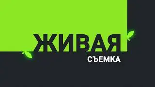 SYNERGY. Animation. E-learning. Showreel. 2021