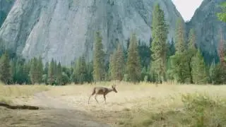 Yosemite in 4K   Sony Fs5 with Odyssey 7Q+ in RAW