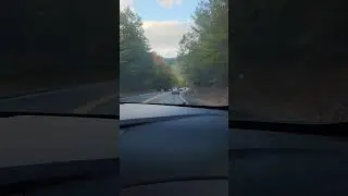 kangamangus highway 