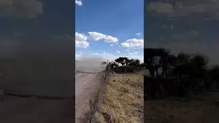 Thierry Neuville top speed at Rally Mexico 2023 #rally #rally1 #wrc #youtubeshorts #shorts