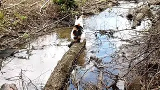 Ловись рыбка большая и маленькая.