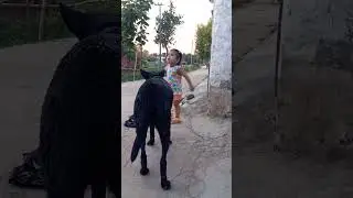 Nani ghar aadvika ki masti #baby #trending #viral #whatsappstatus #babygirl #song #babygirl #summer