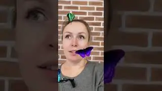 Как организовать себя/ с чего начать.