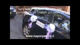 קישוט רכב - קישוטי רכב - קישוט לרכב לחתונה