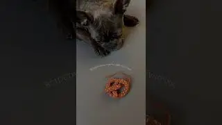 Одну из которых Вы можете повесить себе на сумку😁