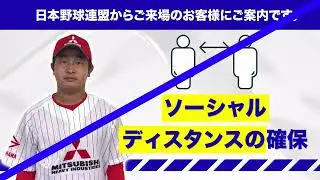 場内アナウンス映像作成　日本野球連盟様　20210619