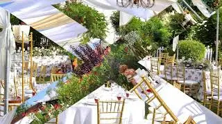 Pro Marriage Park - Petreceri in Aer Liber