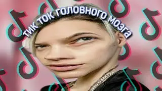 ТИК ТОК ГОЛОВНОГО МОЗГА