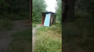 Туалет бешеный