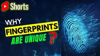 Why we all have different Fingerprints ? | why fingerprints do not match ?| by Farzi jain #Shorts