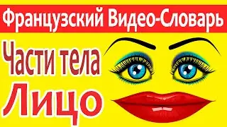 Французский Видео-Словарь 