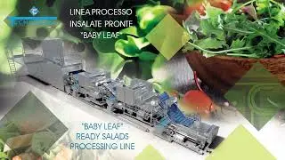 TECNOCEAM BABY LEAF READY SALADS PROCESSING LINE