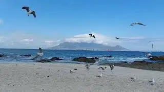 Can't go on holiday?? NO Problem Enjoy the Sea at #blouberg strand #capetown with #tablemountain