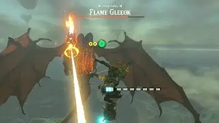 Lore Accurate Link Fights Gleeok On His Home Turf THE AIR