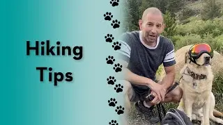 Do you hike with your dog? 