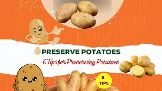 How to Preserve Potatoes : 6 Tips