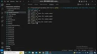 .Python mini Project