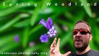Spring Woodland Photography + My NIKON D7500 settings walkthrough