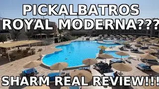 Pickalbatros Royal Moderna - Resort Holiday Hotel Real Review - Sharm el Sheikh Egypt Where to stay!