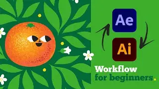 Illustrator to After Effects Workflow | Beginners guide