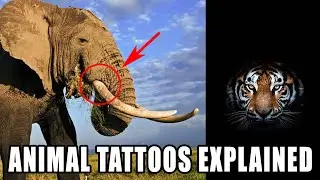 🐯ANIMAL TATTOO IDEAS for MENTAL HEALTH 👉 meanings explained