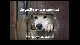 Ассамблея 2018 9А