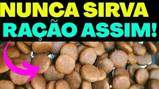 NUNCA SIRVA RAÇÃO ASSIM!! | Ração Super Premium | Ração Premium Especial |Ração Premium | Ração Cães