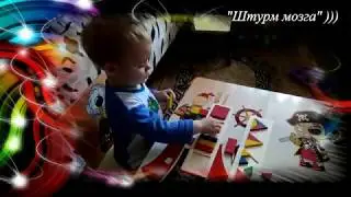 Раннее развитие.  Понятие: Целое и части  1,7 года