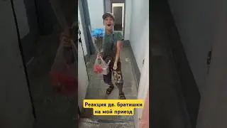 #встреча #приезд #сюрприз #неожиданнаявстреча #реакция