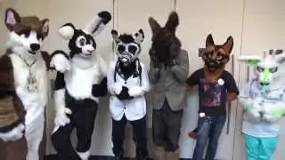 What is a furry?
