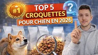 Top 5 Best Dog Kibble of 2026