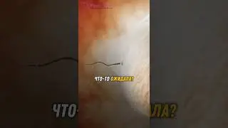 На первом месте всегда состояние твоей Души 