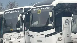 M&H Coaches Part 10 (M500 MNH)