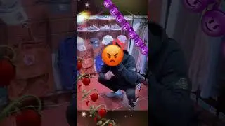 тот самый оффник