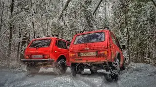 Встретили косуль, но видео не об этом... Зимний оффроад