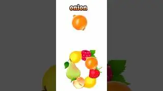 O is for Onion 洋蔥