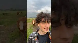 I’m not a farmer, but this cow is chasing me.