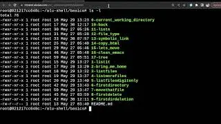 Alu's Shell Basics PLD  Part 2:  30 || 05 || 2023