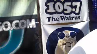 Walrus On-Site Disaster