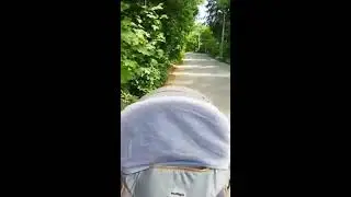 Одна с тремя детьми. О наболевшем.