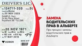 Про замену водительских прав в Альберте
