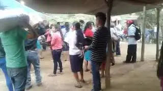 are amigos es la meritita tradición de mi pueblo en Yano maguey loxicha💥💥