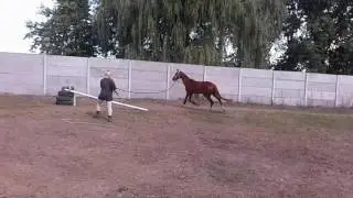 Реліквія, 2013 1