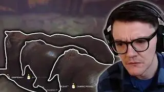 The new update is working perfectly | Weekly Highlights