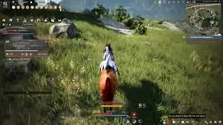 [BDO] On the road to master in horse training part 1