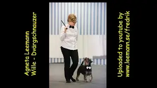 Family Upload #1 - Agneta Leemann & Wille - Dvärgschnauzer